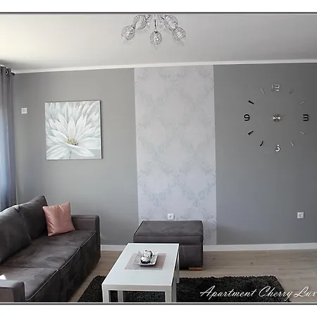 아파트 Cherry Lux 즈레냐닌